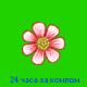 Аватар 24 часа за компом