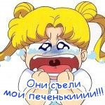 Аватар Они съели мои печенькииии!!!