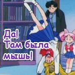 Аватар Да! Там была мышь!
