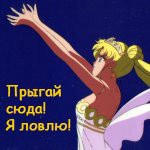 Аватар Прыгай сюда! Я ловлю!