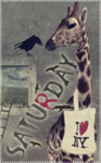 Аватар saturday.i love new-york