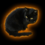 Аватар Кошак