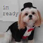 Аватар Im ready