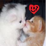99px.ru аватар котята целуются