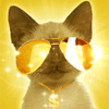 99px.ru аватар кот в очках