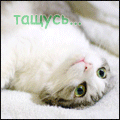 Аватар тащусь...
