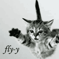 Аватар I can fly-y