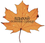 Аватар вдыхай осеннее солнце