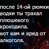 Аватар после 14-ой рюмки водки ты трахал плюшевого крокодила. вот вам и вред от алкоголя.