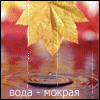 Аватар вода-мокрая, небо-голубое, а жизнь-дерьмо