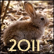 Аватар С новым годом 2011