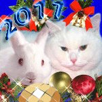 Аватар Новогодние кот и кролик.2011