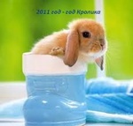 Аватар 2011 год-год Кролика (в сапожке)