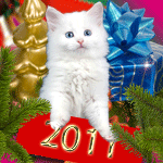 99px.ru аватар Белый котик