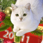 99px.ru аватар Белый кот.2011