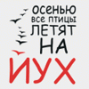 Аватар осенью все птицы летят на йух