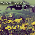 99px.ru аватар yellow flowers so like me