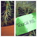 Аватар touch me.
