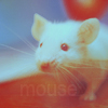 Аватар mouse