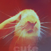 99px.ru аватар cute