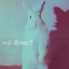 Аватар чё бля?
