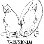 Аватар Близнецы