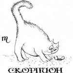 Аватар Кот удивленно смотрит на скорпиона (Скорпион)