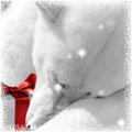 99px.ru аватар Белый медведь с подарком