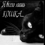 Аватар Я всего лишь кошка...
