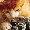 99px.ru аватар Котенок с фотоаппаратом