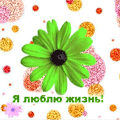 Аватар Цветочек и надпись *Я люблю жизнь*
