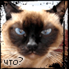 99px.ru аватар что?