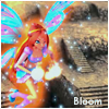 99px.ru аватар Bloom (Winx club)