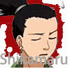 Аватар Shikamaru