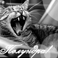Аватар Полундра!