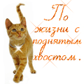 Аватар По жизни с поднятым хвостом.