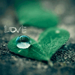Аватар Капелька росы на листике (Love)