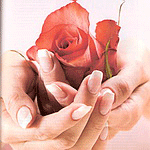99px.ru аватар Роза в руках девушки
