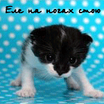 Аватар Еле на ногах стою