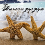 Аватар Мы нашли друг друга