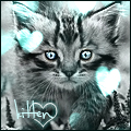 Аватар Котенок (kitten)