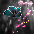 Аватар Butterfly
