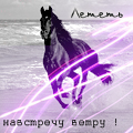 Аватар Лететь навстречу ветру!