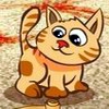 Аватар Смешной котёнок