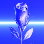 Аватар ледяная роза