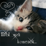 Аватар Ты мой котёнок..