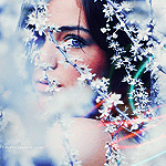 99px.ru аватар Снежная королева
