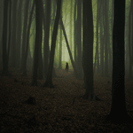 99px.ru аватар Человек в темном густом зловещем лесу