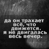 Аватар Да он трахает всё, что движется. Я не двигалась весь вечер.