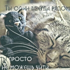99px.ru аватар Кот спит с плюшевым котом (Ты один всегда рядом. Ты просто не можешь уйти)